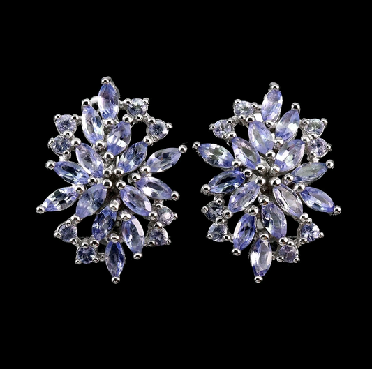 Pair of silver earrings with blue gemstones on a black background